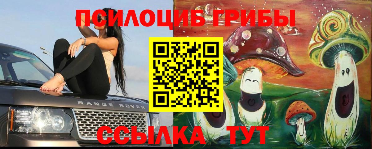 Вышний Волочёк  Галлюциногенные грибы GOLDEN TEACHER  Вход с VPN 